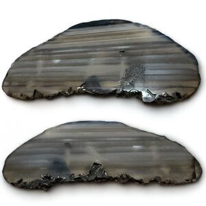 Gray Black Agate Slice Geode Decor Crystal Cut Polished Natural Stone 4”